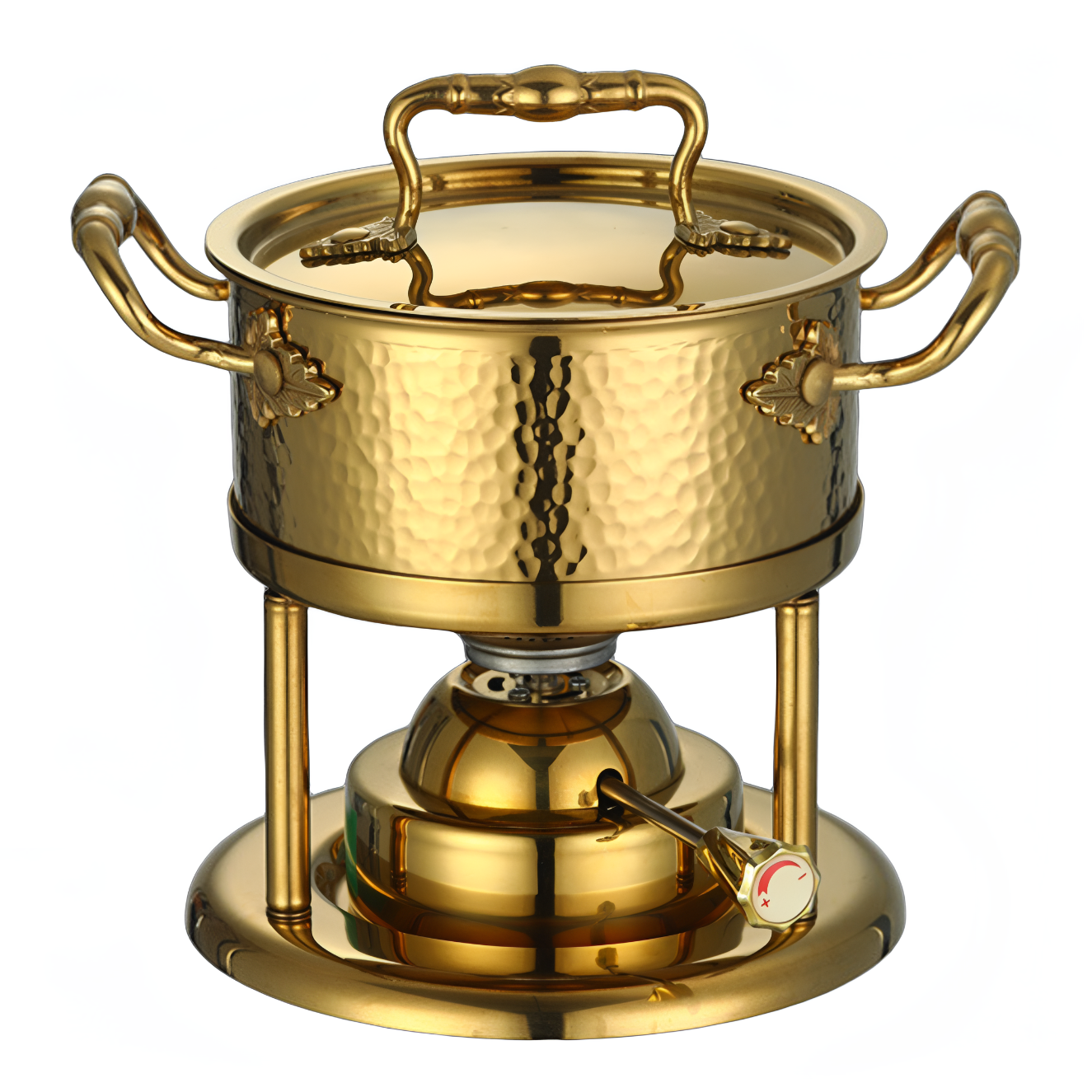 Outdoor Camping Stainless Stee - Outdoor Gas Stove 리뷰 및 가격