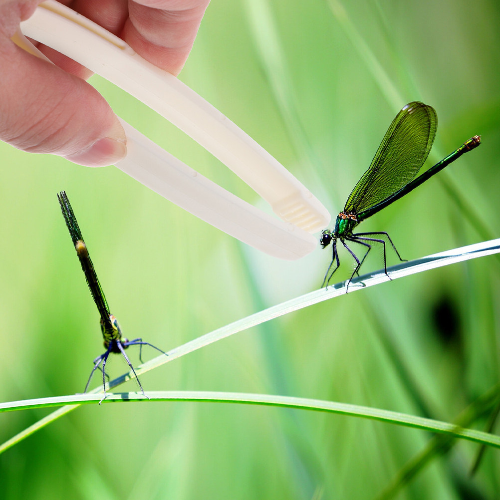 24Pcs Kids Tweezers Flat Head  - Outdoor Y Camping 리뷰 및 가격