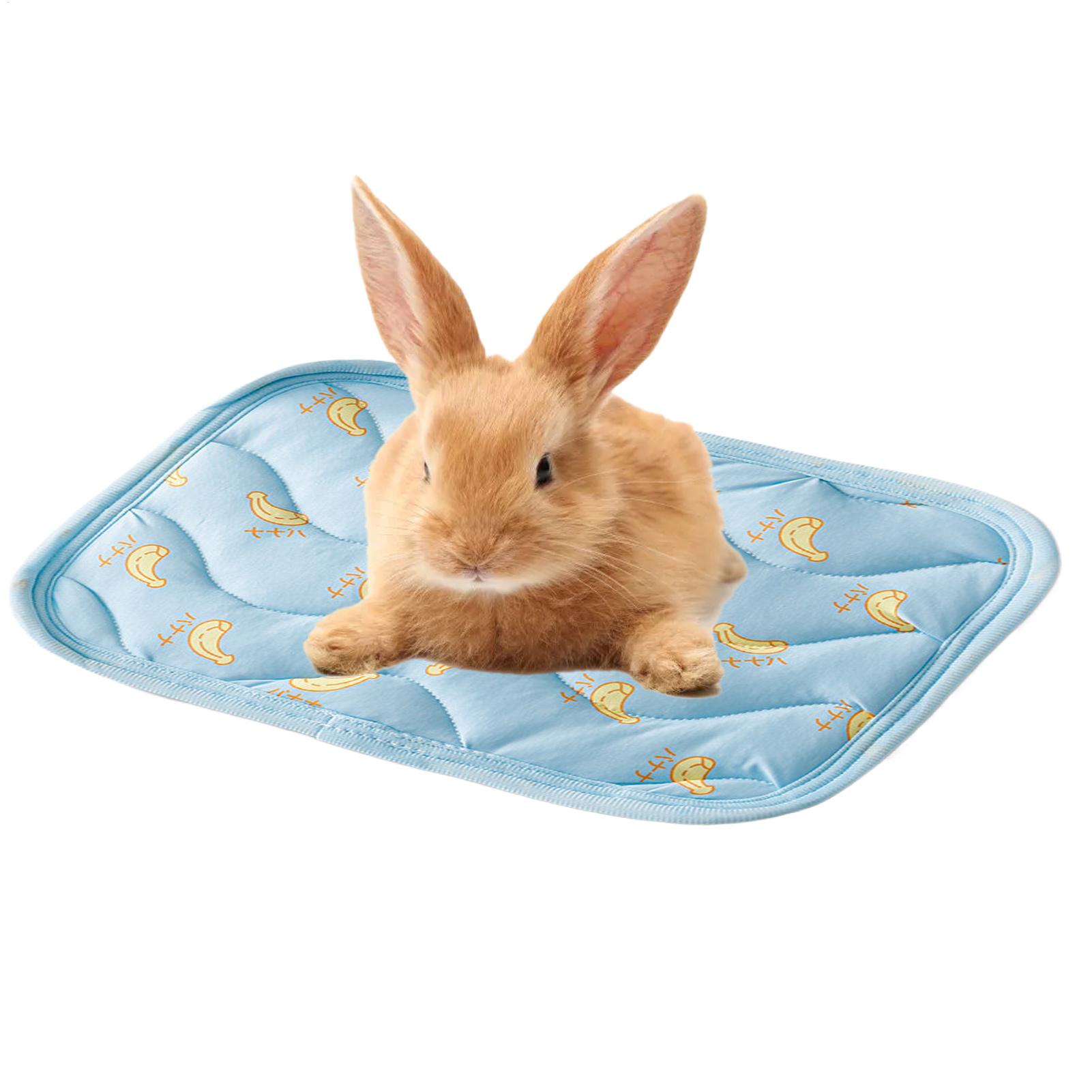 Portable Durable Pet Cooling M - Outdoor Camping Dog Kennel 리뷰 및 가격